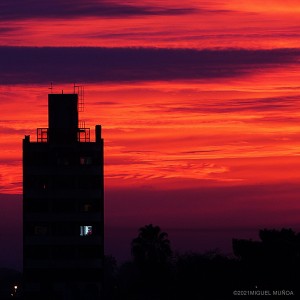 centinela del atardecer